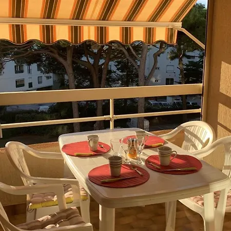 Apartment Port : T2 Avec Loggia, Wifi, Parking, Climatisation, 4 Pers., Proche Plaisance - Fr-1-335-164